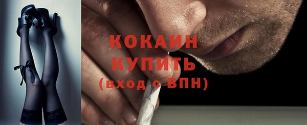 мяу мяу мука Бородино