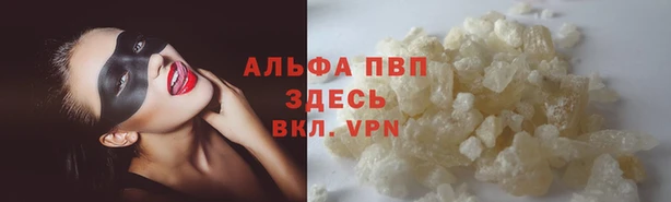 мяу мяу мука Бородино