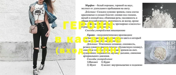индика Рославль